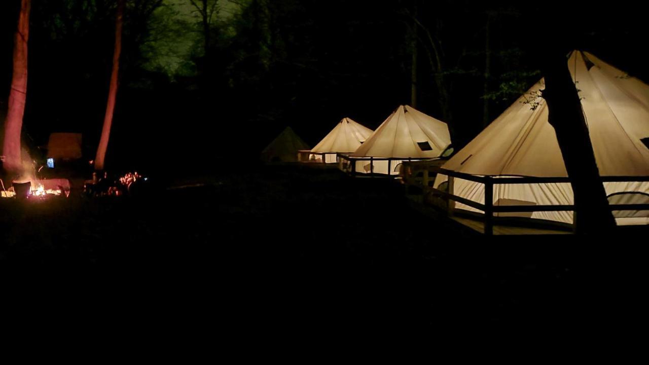 Harmony Tree Resorts Inc Nashville Exterior photo